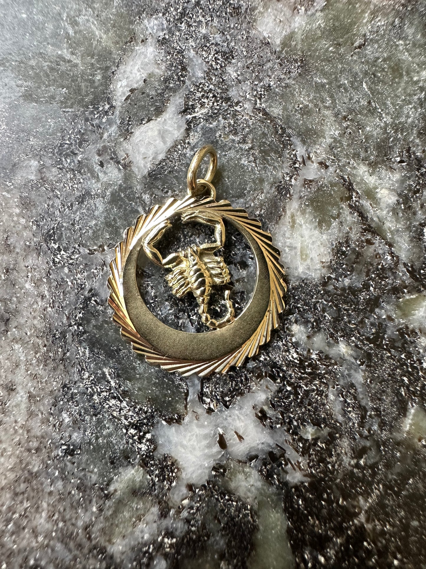 14k Gouden Massieve Schorpioen Kettinghanger
