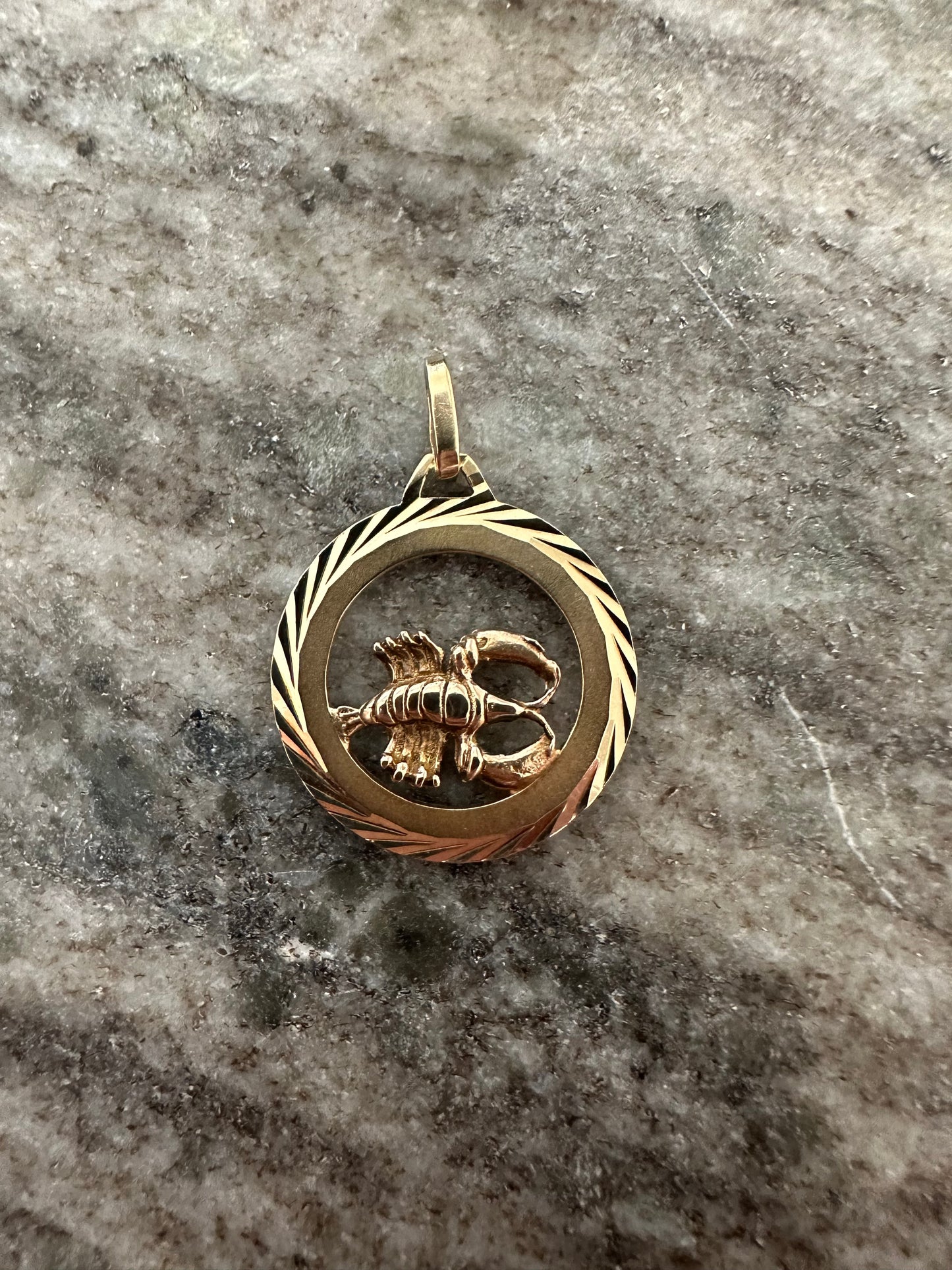 14K Massieve Gouden Kreeft Sterrenbeeld Hanger