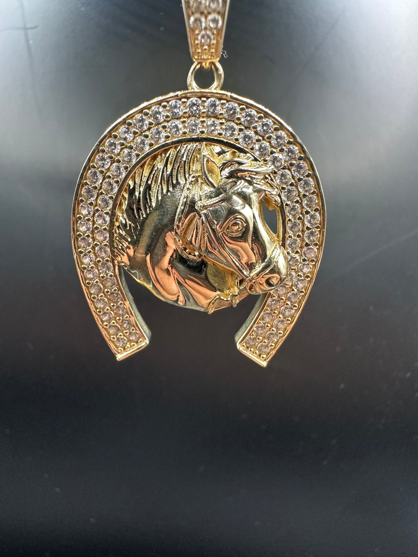 14K Gouden Paardenkop Hanger met Zirkonia