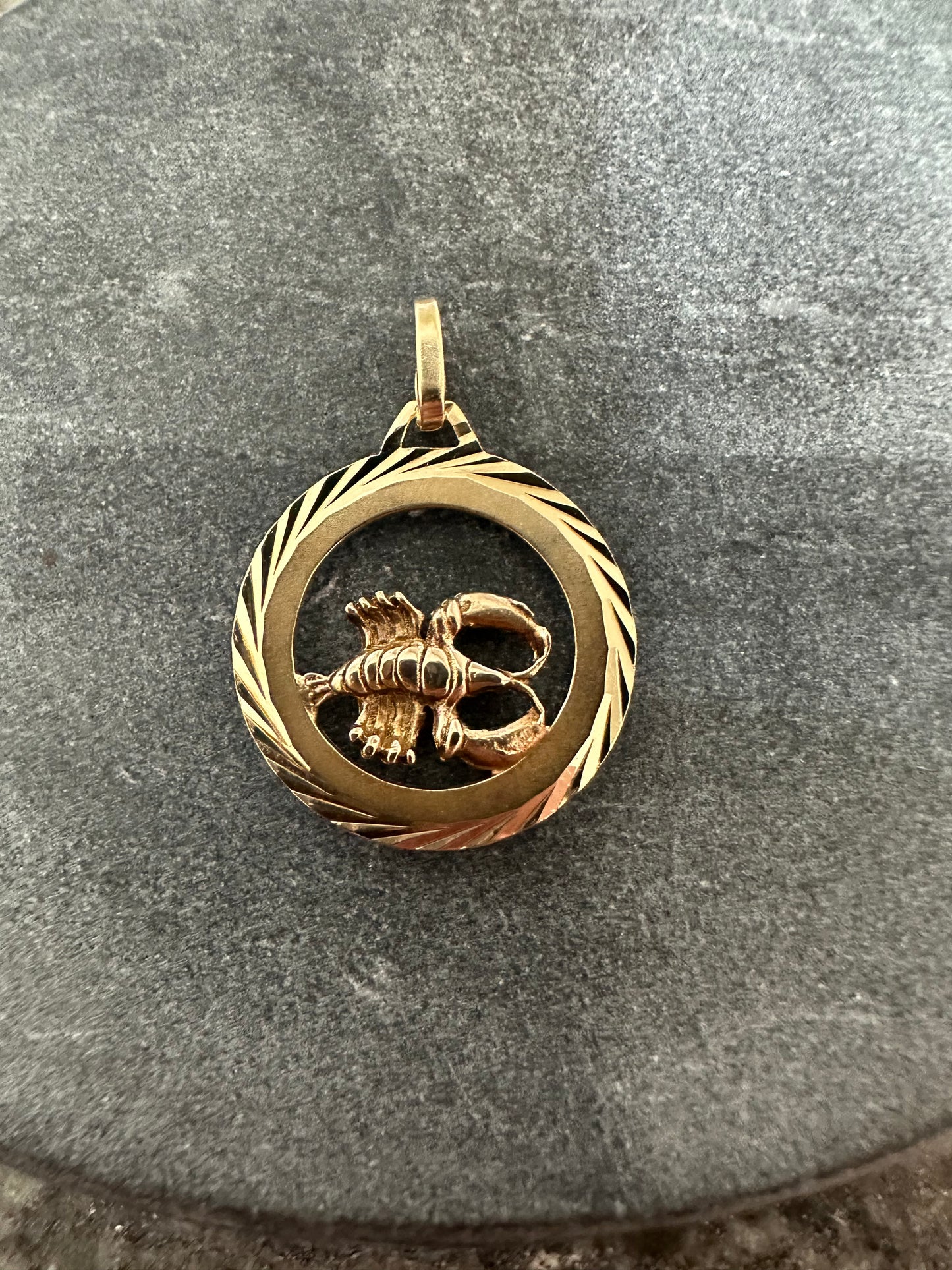 14K Massieve Gouden Kreeft Sterrenbeeld Hanger