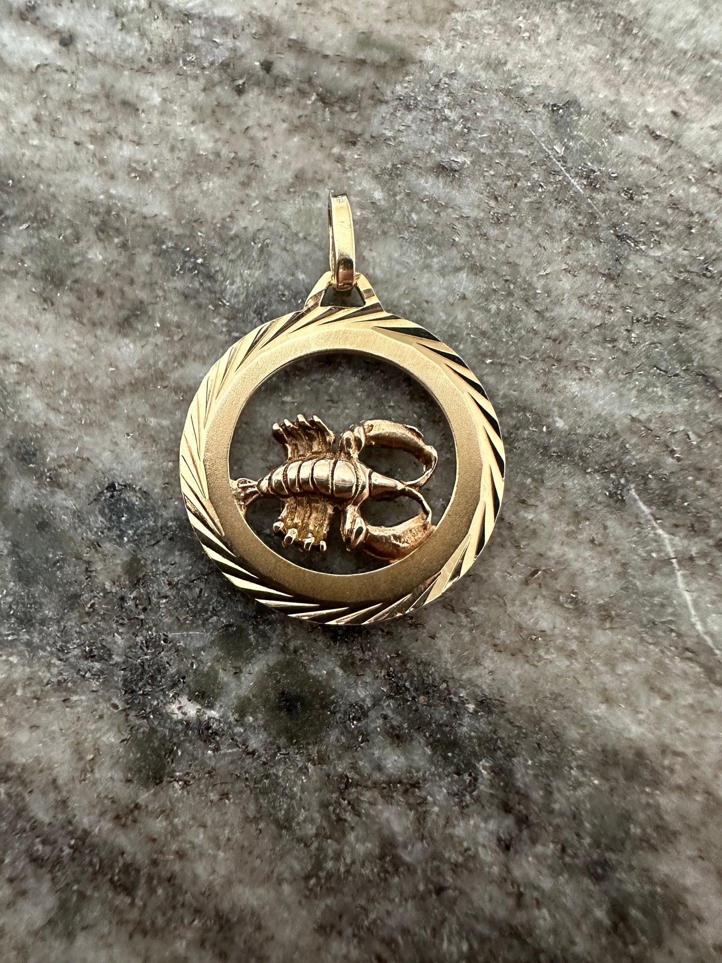 14K Massieve Gouden Kreeft Sterrenbeeld Hanger