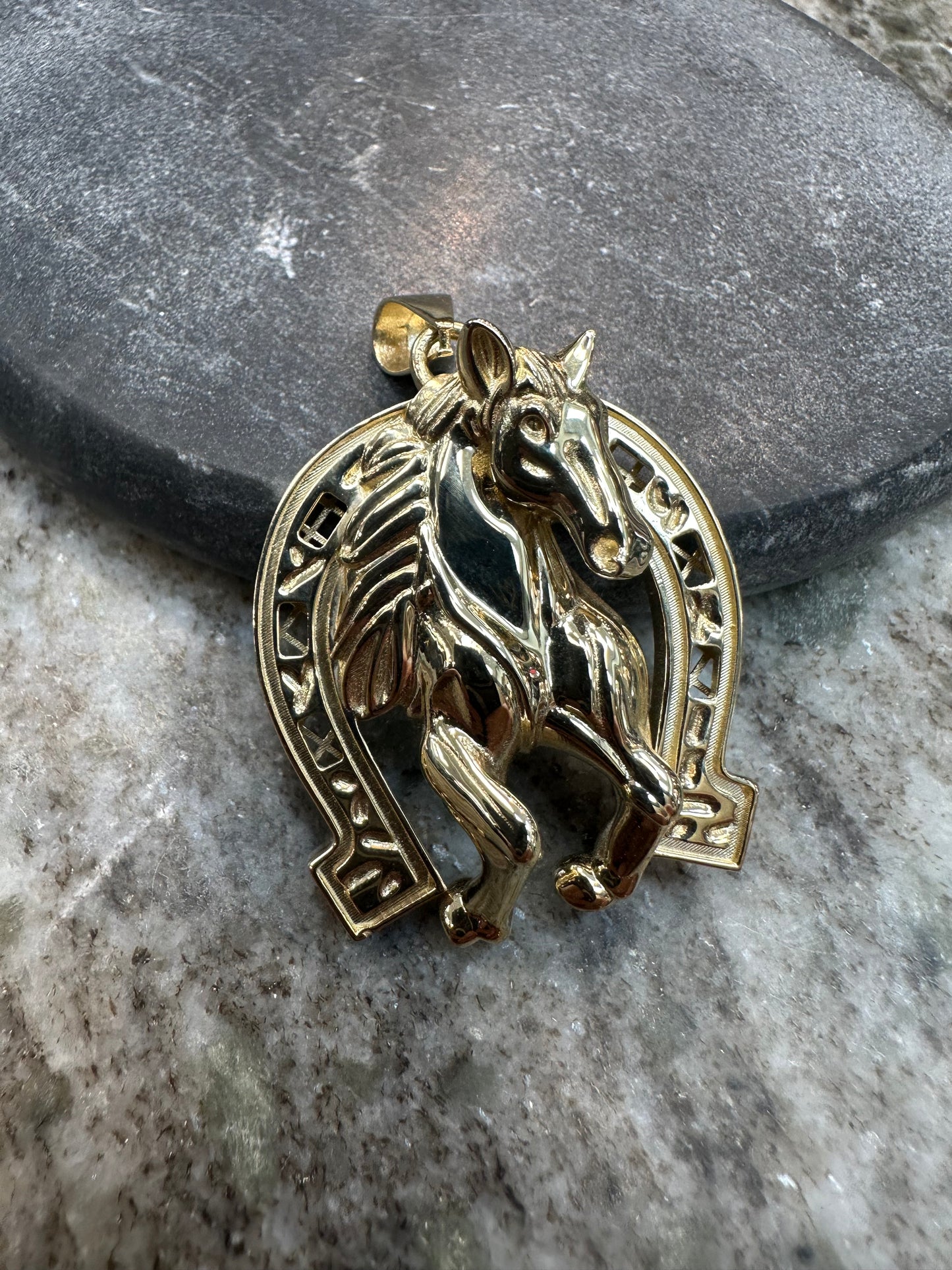 14K Gouden Paardenkop Hanger met Hoefijzer