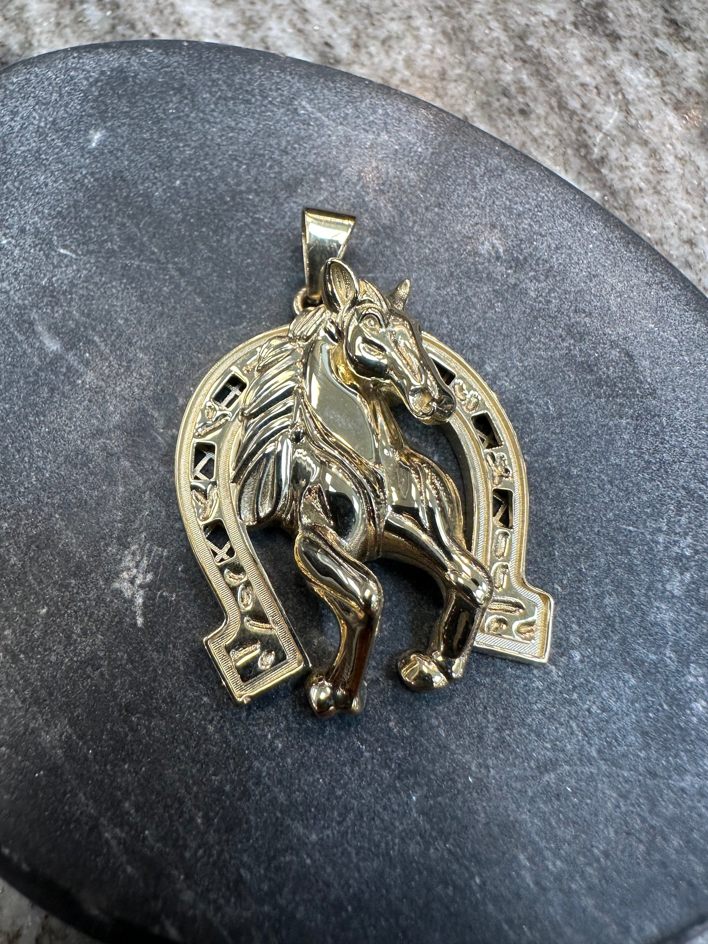 14K Gouden Paardenkop Hanger met Hoefijzer