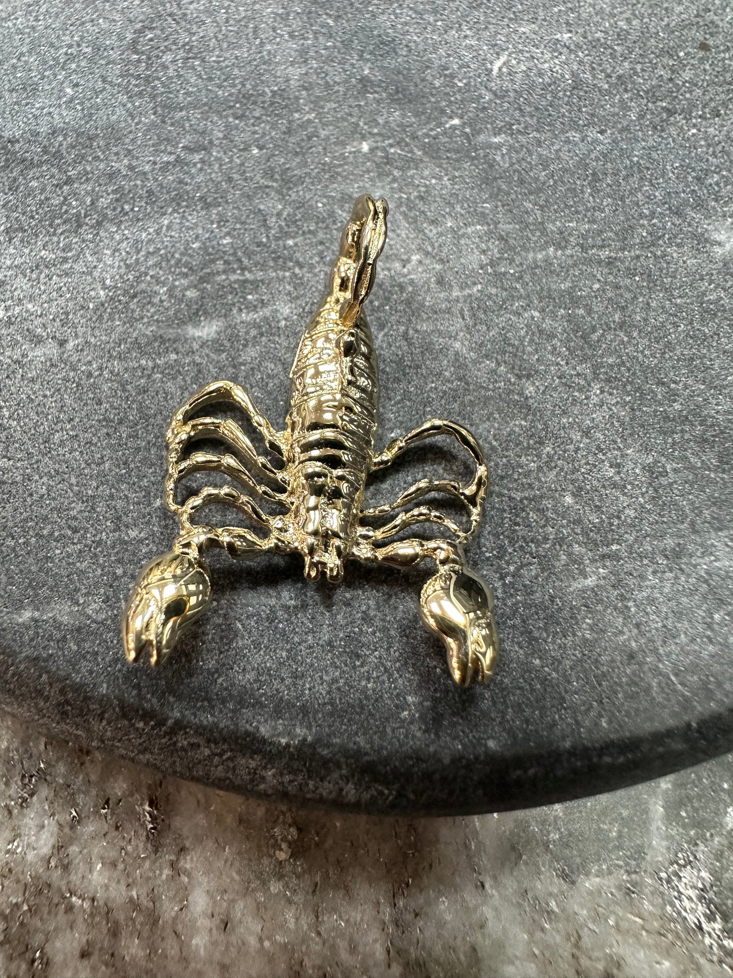 14K Gouden Schorpioen Hanger – 28 mm