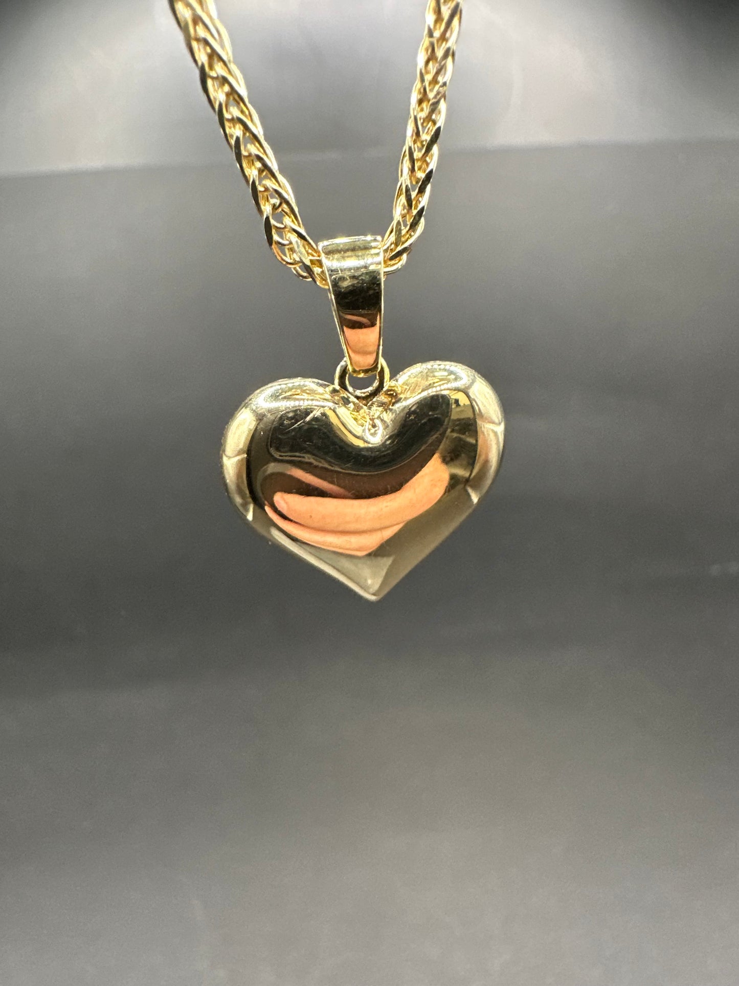 14K Gouden Vossenstaart Ketting met Hart Hanger – 50 cm