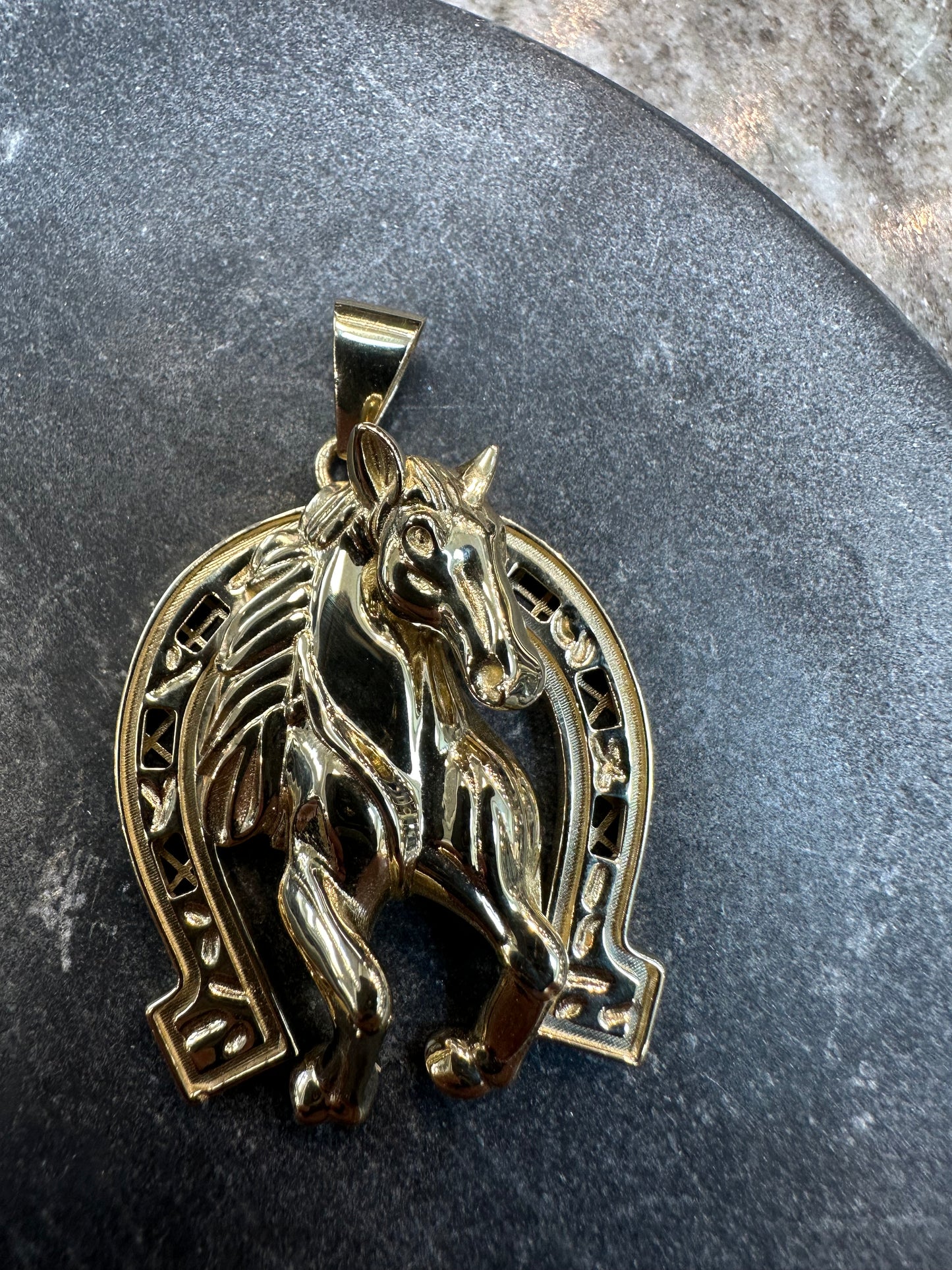 14K Gouden Paardenkop Hanger met Hoefijzer