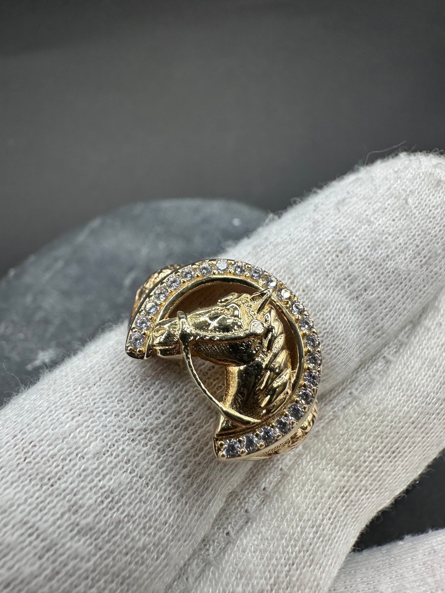 14k Gouden Paardenkop Ring ✨