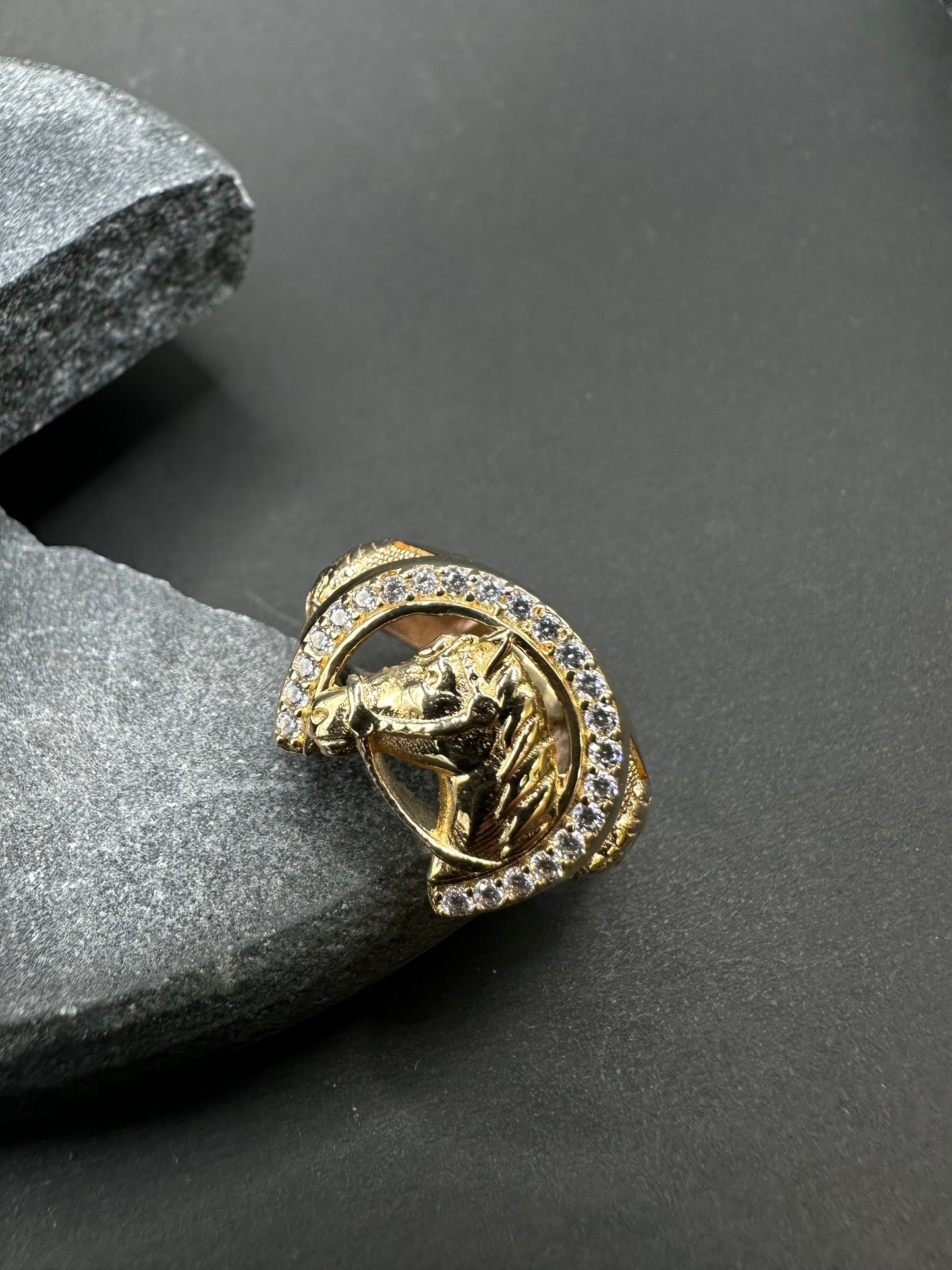 14k Gouden Paardenkop Ring ✨