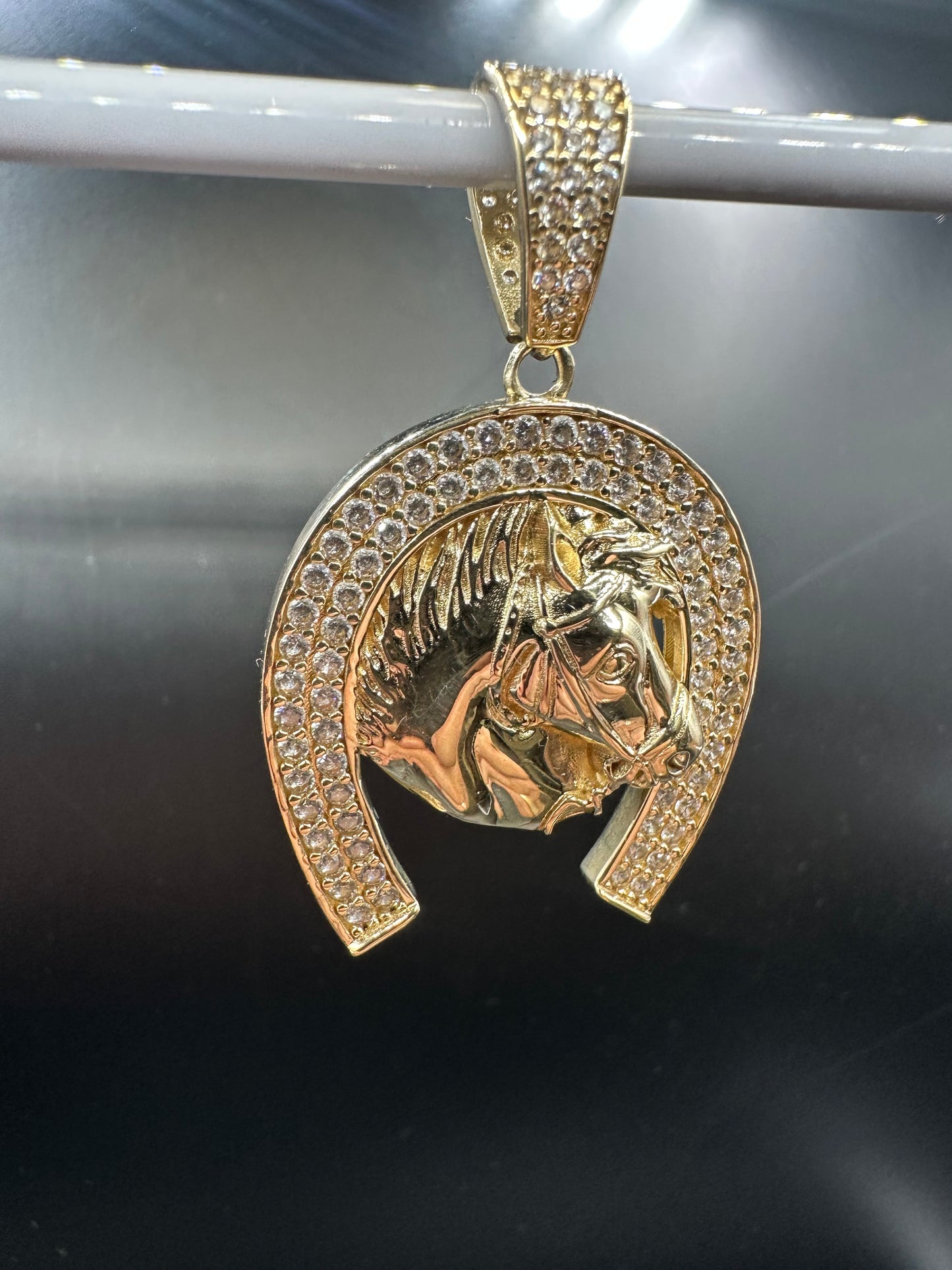 14K Gouden Paardenkop Hanger met Zirkonia