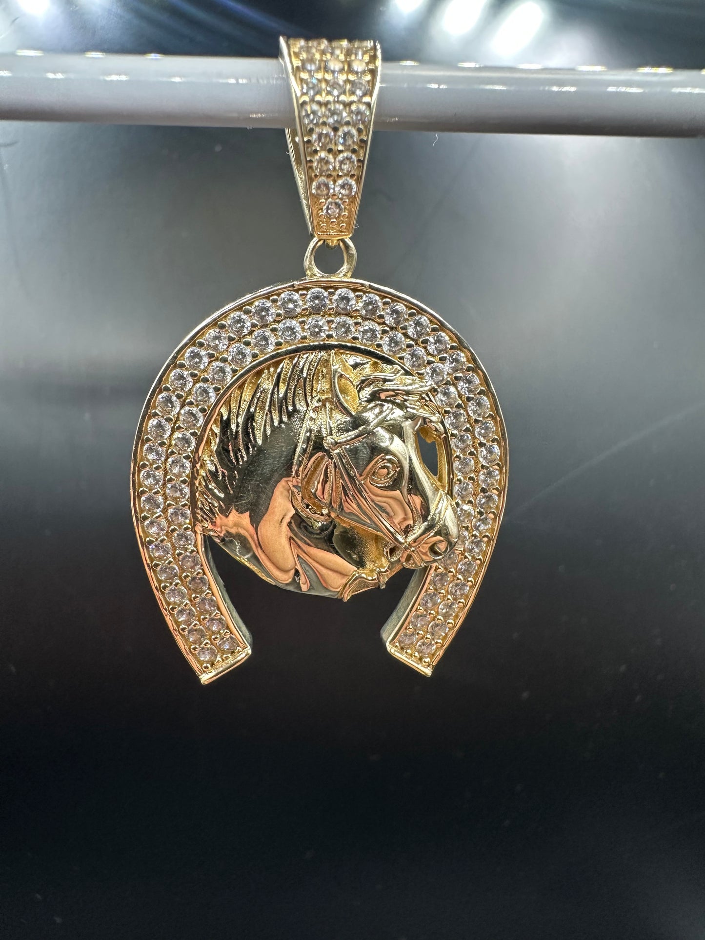 14K Gouden Paardenkop Hanger met Zirkonia
