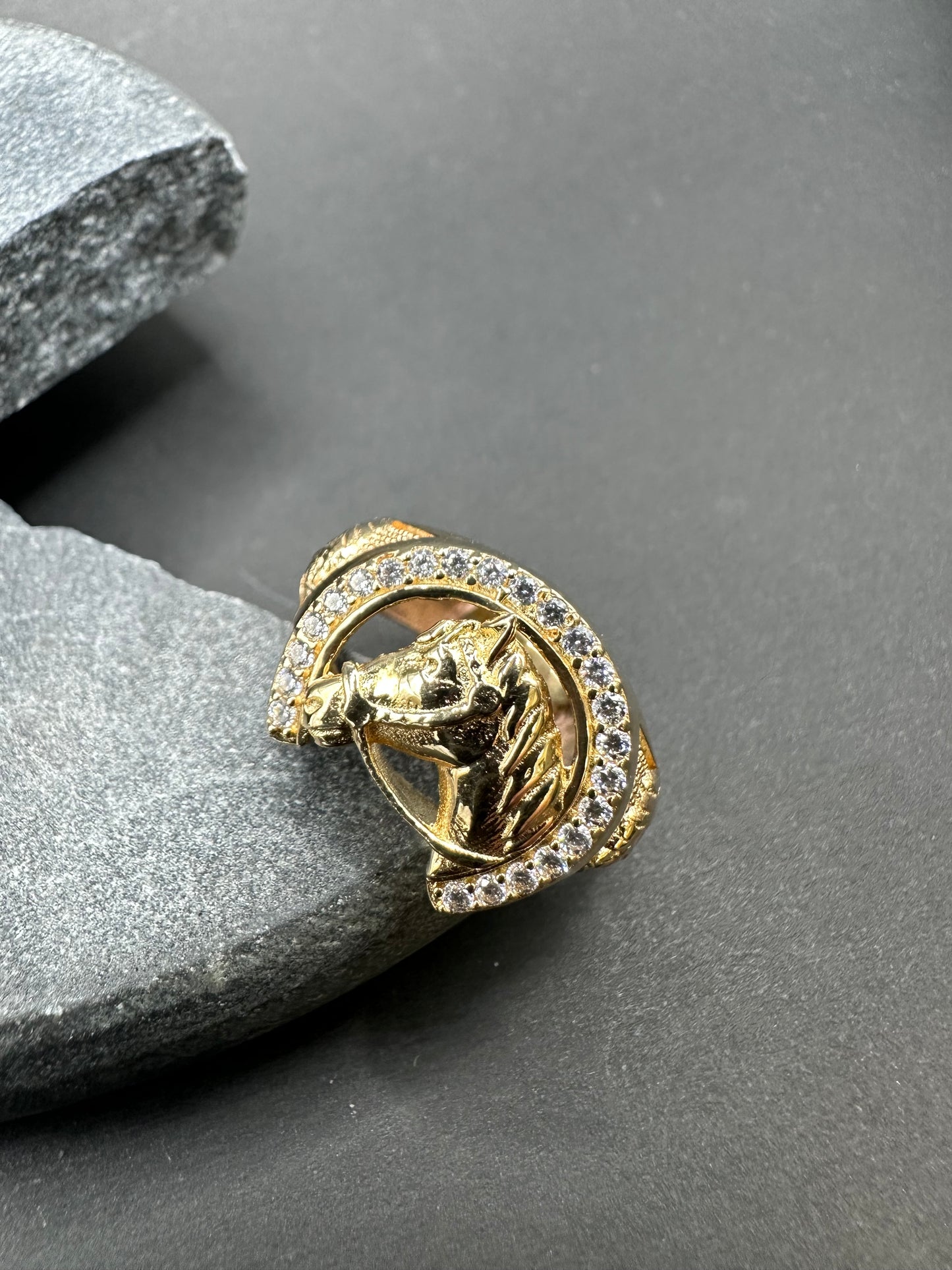 14k Gouden Paardenkop Ring ✨