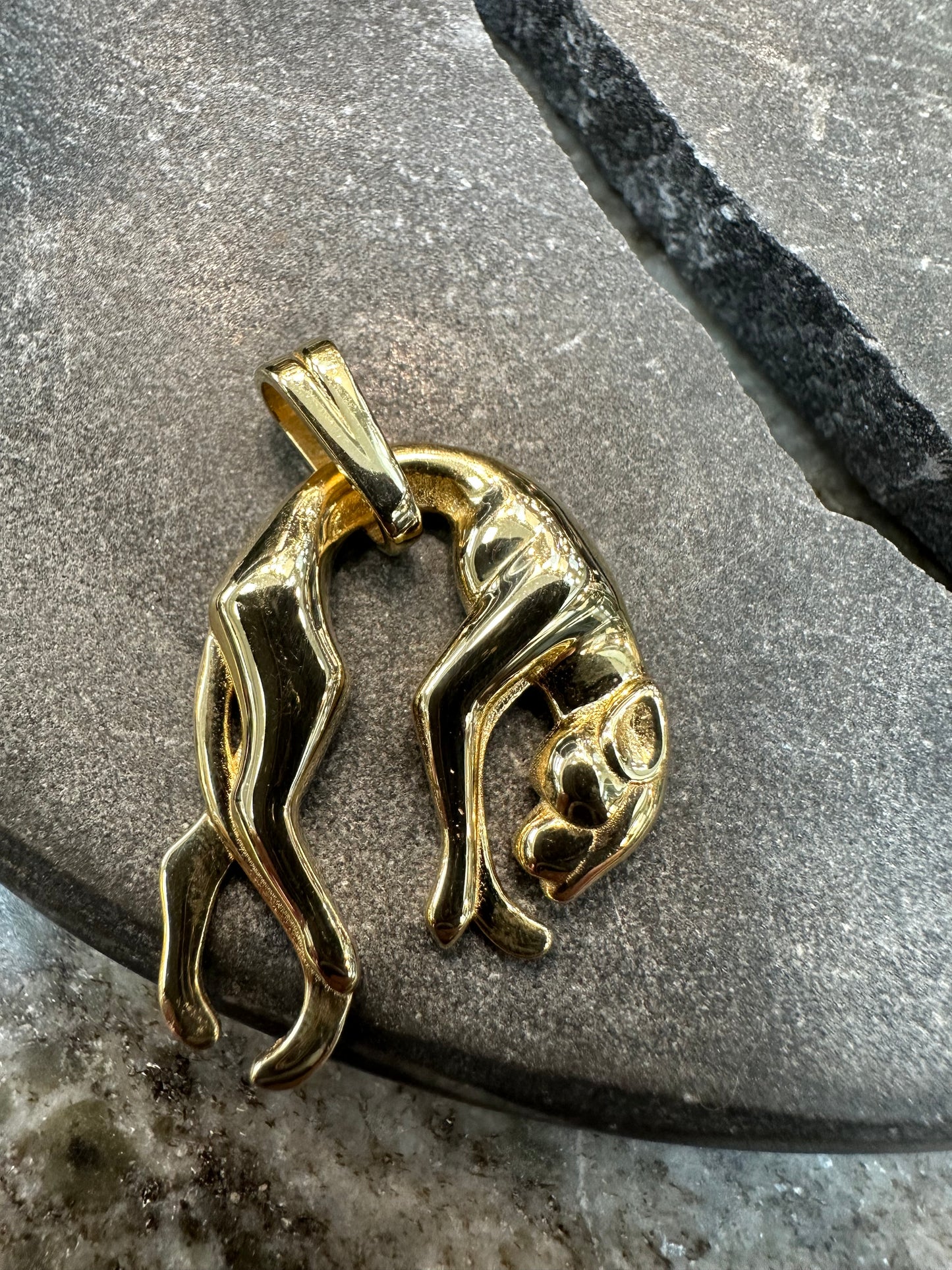 Prachtige 14K Gouden Panter Hanger – 27,1 mm | Krachtig & Luxe Design