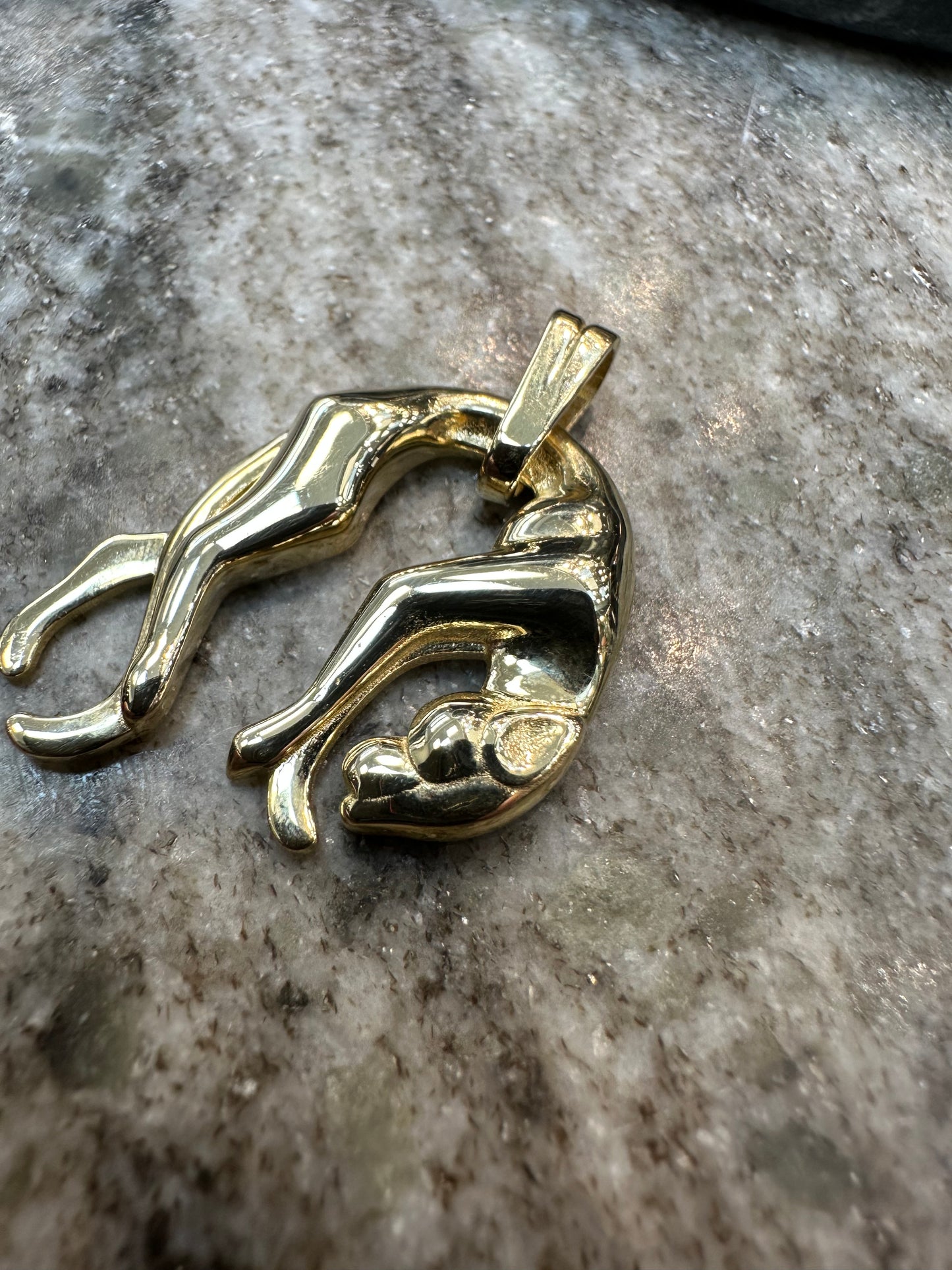 Prachtige 14K Gouden Panter Hanger – 27,1 mm | Krachtig & Luxe Design