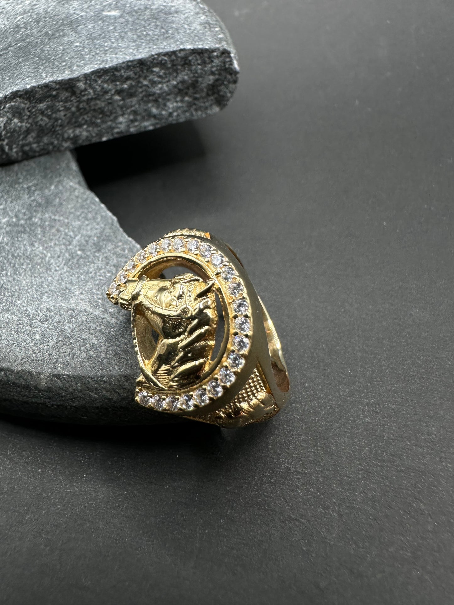 14k Gouden Paardenkop Ring ✨