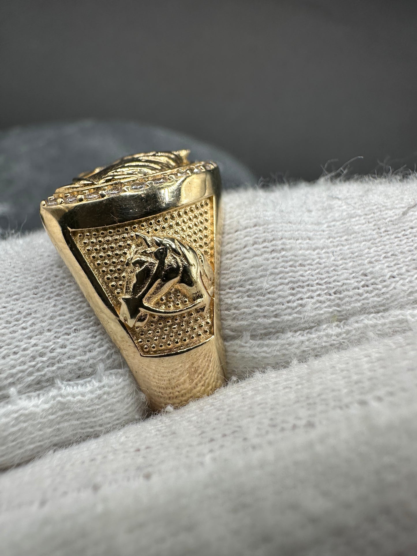 14k Gouden Paardenkop Ring ✨