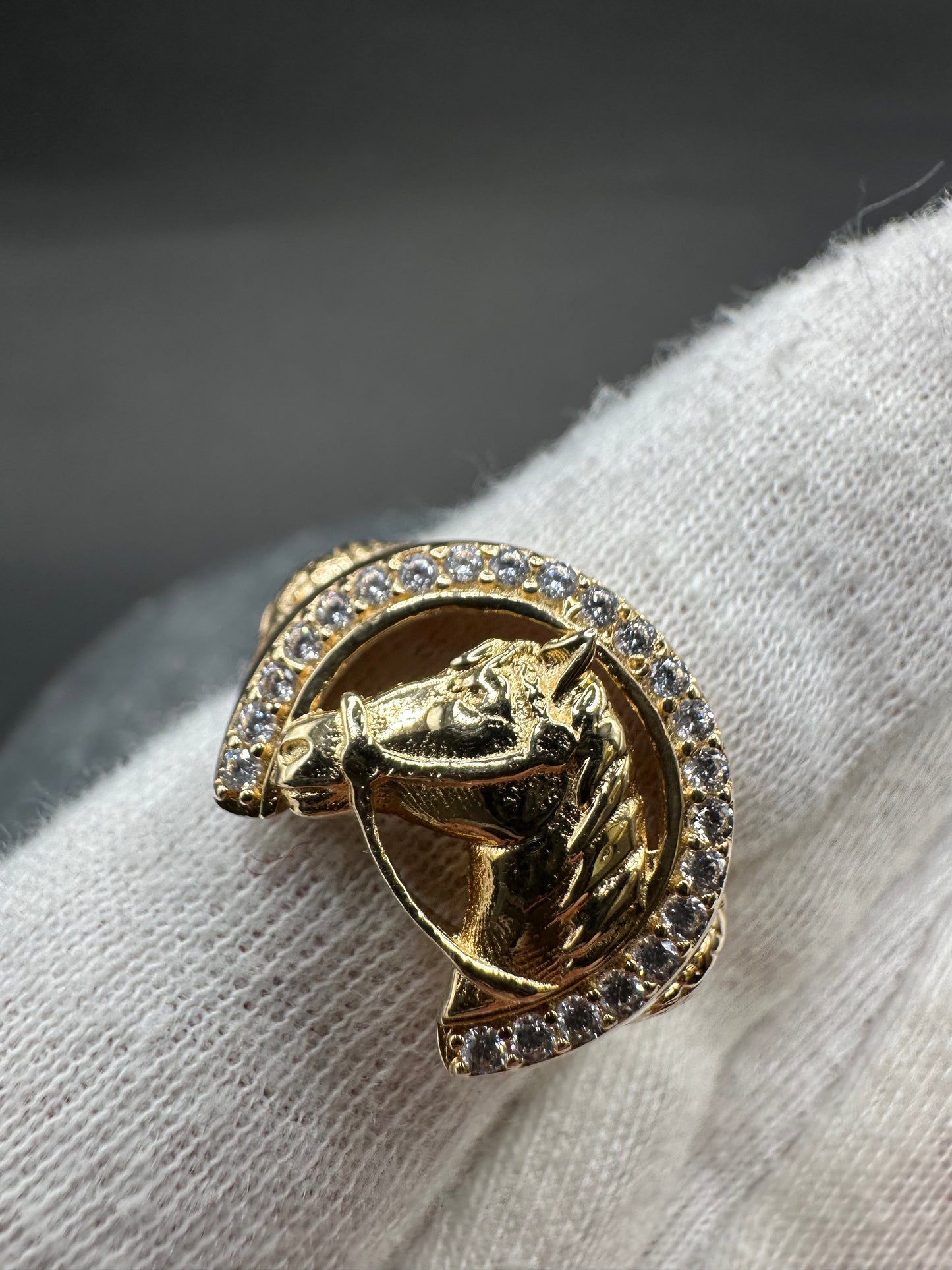 14k Gouden Paardenkop Ring ✨