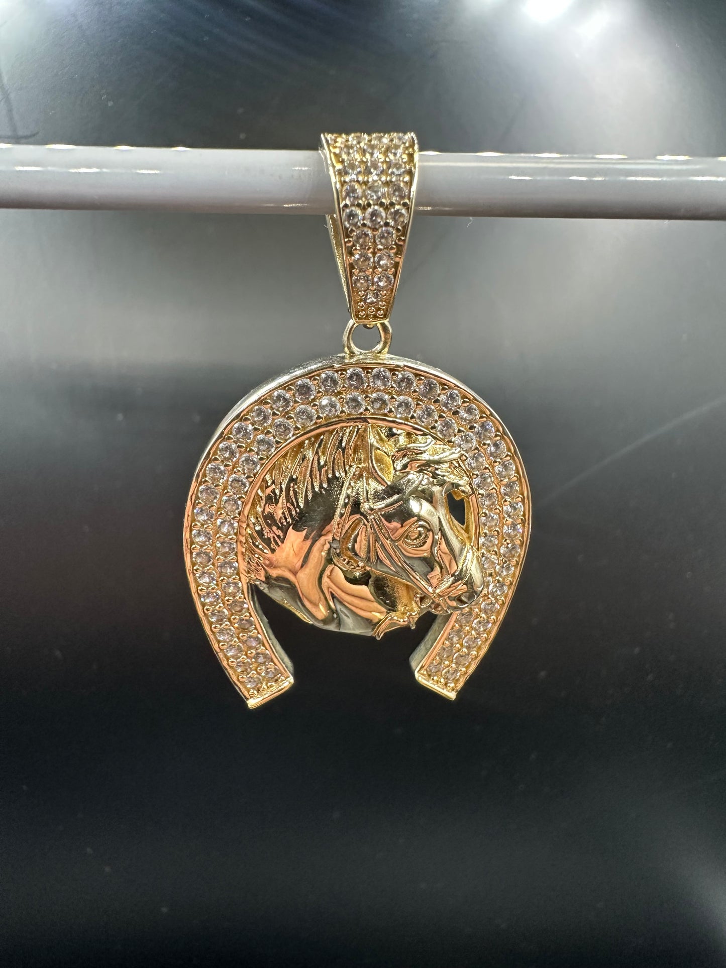 14K Gouden Paardenkop Hanger met Zirkonia