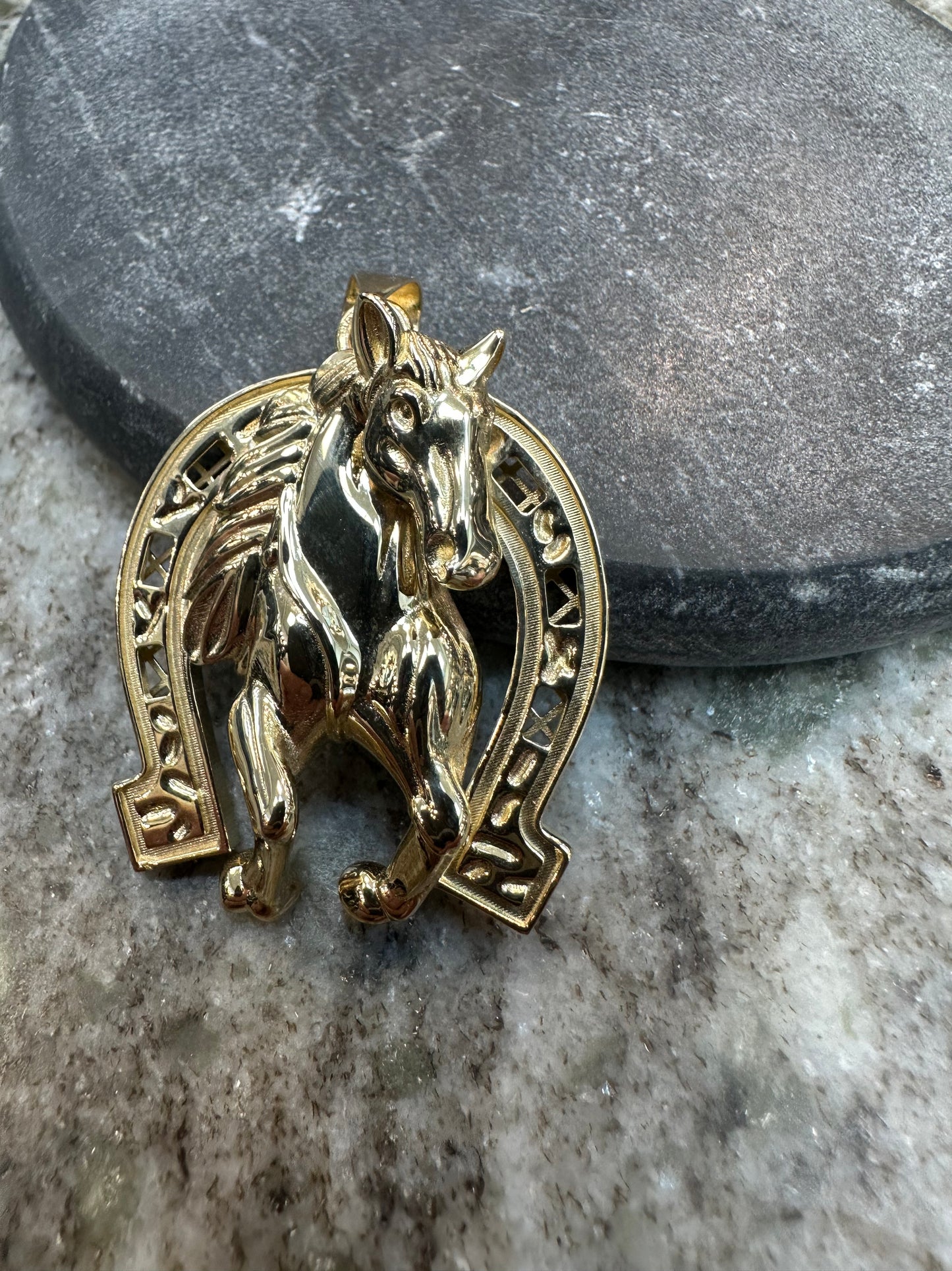 14K Gouden Paardenkop Hanger met Hoefijzer